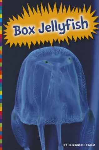 Könyv Box Jellyfish Elizabeth Raum