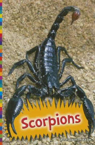 Knjiga Scorpions Elizabeth Raum