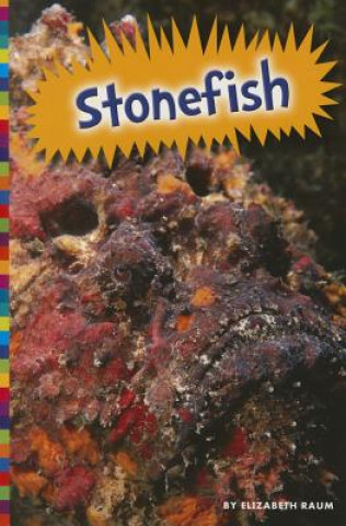 Książka Stonefish Elizabeth Raum