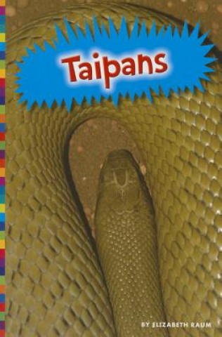 Buch Taipans Elizabeth Raum