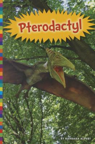 Książka Pterodactyl Barbara Alpert