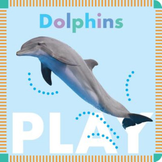 Book Dolphins Play Rebecca Stromstad Glaser