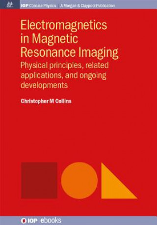 Kniha Electromagnetics in Magnetic Resonance Imaging Christopher M. Collins