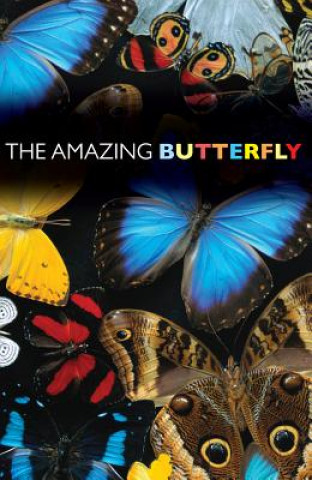 Книга The Amazing Butterfly (Pack of 25) Good News Publishers