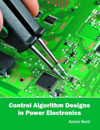 Könyv Control Algorithm Designs in Power Electronics Annie Kent