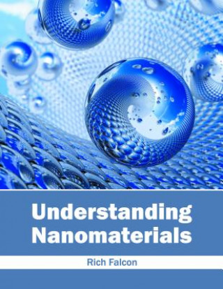 Kniha Understanding Nanomaterials Rich Falcon