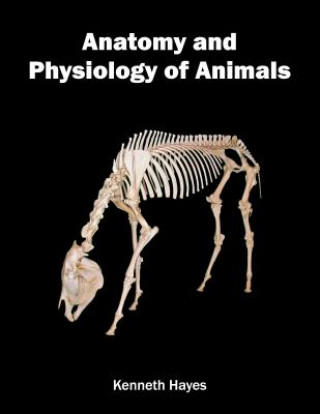 Książka Anatomy and Physiology of Animals Kenneth Hayes