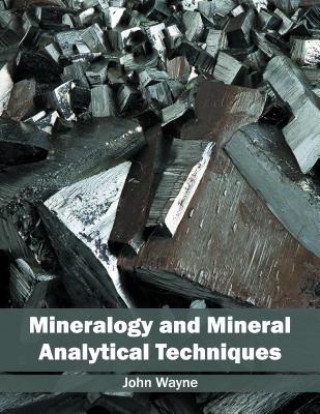 Könyv Mineralogy and Mineral Analytical Techniques John Wayne