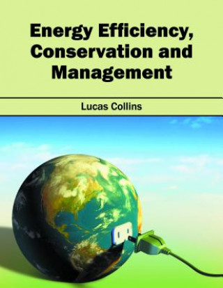 Carte Energy Efficiency, Conservation and Management Lucas Collins