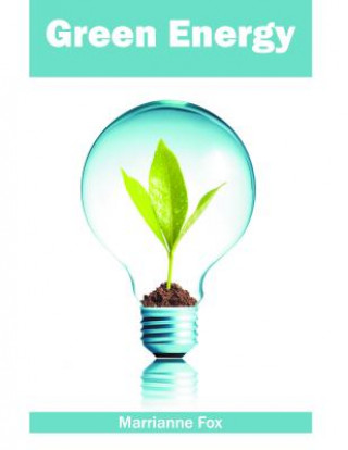 Buch Green Energy Marrianne Fox