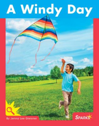 Kniha A Windy Day Jenna Lee Gleisner