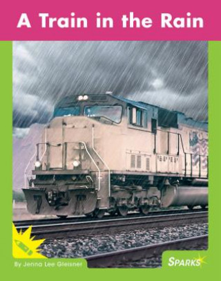 Knjiga A Train in the Rain Jenna Lee Gleisner