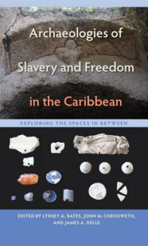 Kniha Archaeologies of Slavery and Freedom in the Caribbean James A. Delle