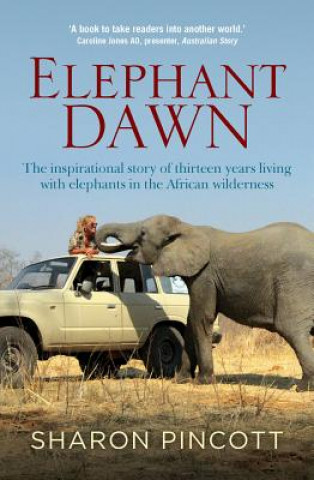 Carte Elephant Dawn Sharon Pincott