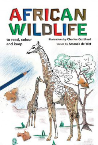 Książka African Wildlife Amanda De Wet