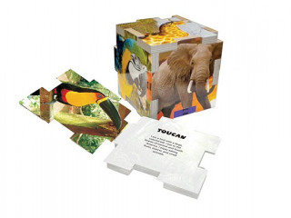Knjiga Cube Book Tundra Books