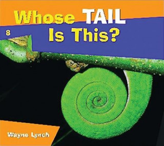 Knjiga Whose Tail Is This? Wayne Lynch