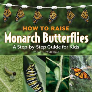 Kniha How to Raise Monarch Butterflies: A Step-By-Step Guide for Kids Carol Pasternak