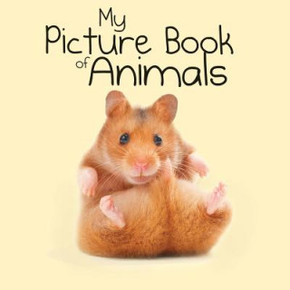 Kniha My Picture Book of Animals Severine Charbonnel-Bojman