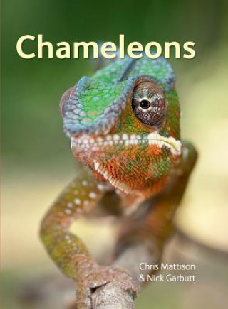 Könyv Chameleons Christopher Mattison