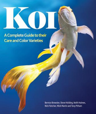 Könyv Koi: A Complete Guide to Their Care and Color Varieties Bernice Brewster
