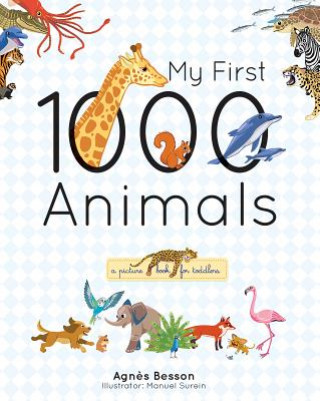 Kniha My First 1000 Animals Agnes Besson