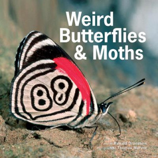 Kniha Weird Butterflies and Moths Ronald Orenstein