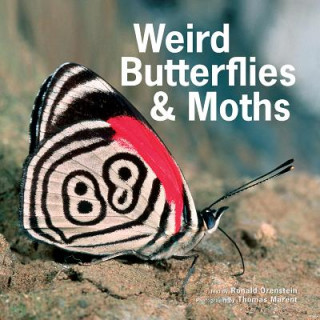 Carte Weird Butterflies and Moths Ronald Orenstein