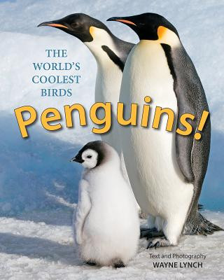 Book Penguins! The World's Coolest Birds Wayne Lynch