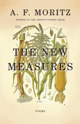 Buch New Measures A. F. Moritz