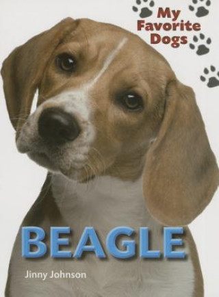 Książka Beagle Jinny Johnson