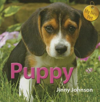 Książka Puppy Jinny Johnson