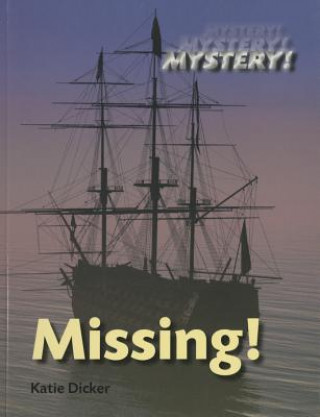 Kniha Missing! Katie Dicker