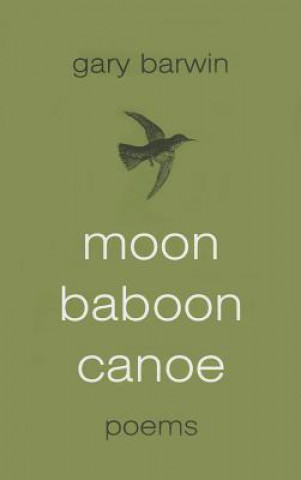 Buch Moon Baboon Canoe Gary Barwin