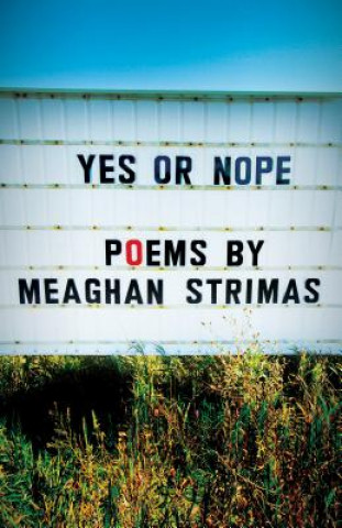 Kniha Yes and Nope Meaghan Strimas