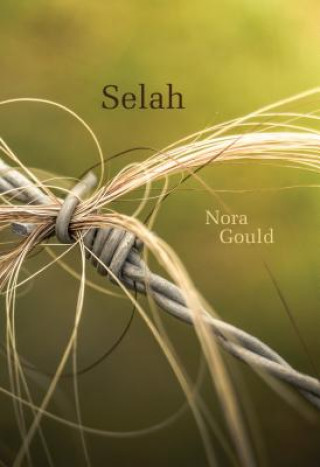 Buch Selah Nora Gould