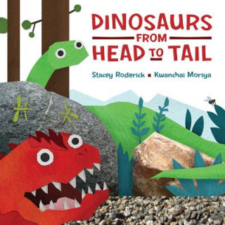 Kniha Dinosaurs from Head to Tail Stacey Roderick