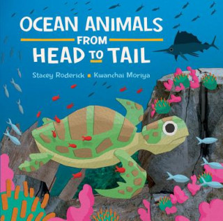 Livre Ocean Animals from Head to Tail Stacey Roderick