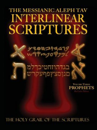 Könyv Messianic Aleph Tav Interlinear Acriptures Vol 3 