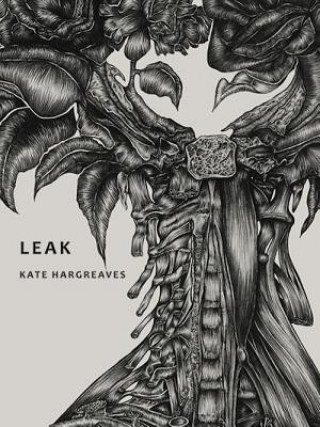 Kniha Leak Kate Hargreaves