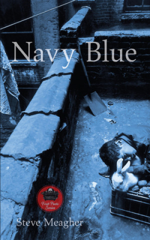 Książka Navy Blue Steve Meagher