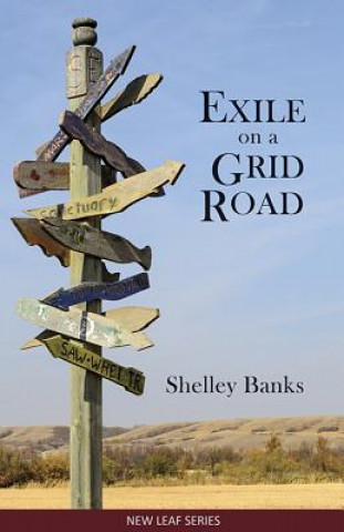 Libro Exile on a Grid Road Shelley Banks