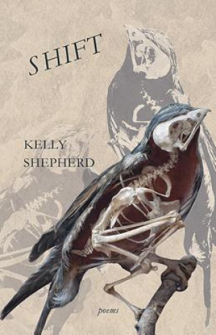 Kniha Shift Kelly Shepherd