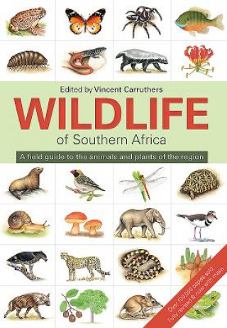 Kniha Wildlife of Southern Africa Vincent Carruthers