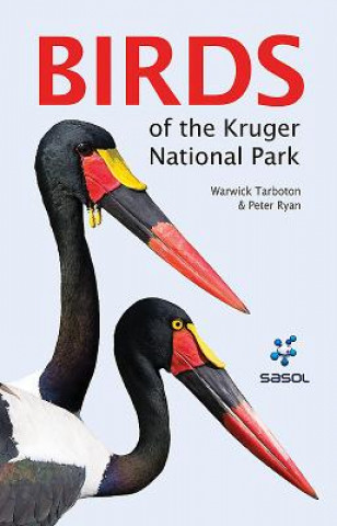 Książka Sasol Guide to Birds of the Kruger National Park Warwick Tarboton