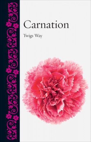 Carte Carnation Twigs Way