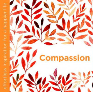 Buch Compassion Dani Dipirro