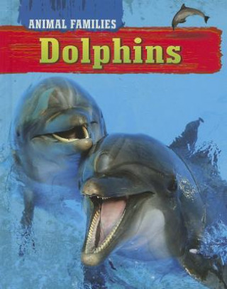 Książka Dolphins Tim Harris