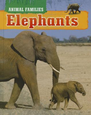 Book Elephants Tim Harris