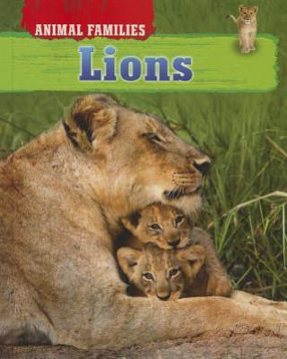 Könyv Lions Tim Harris